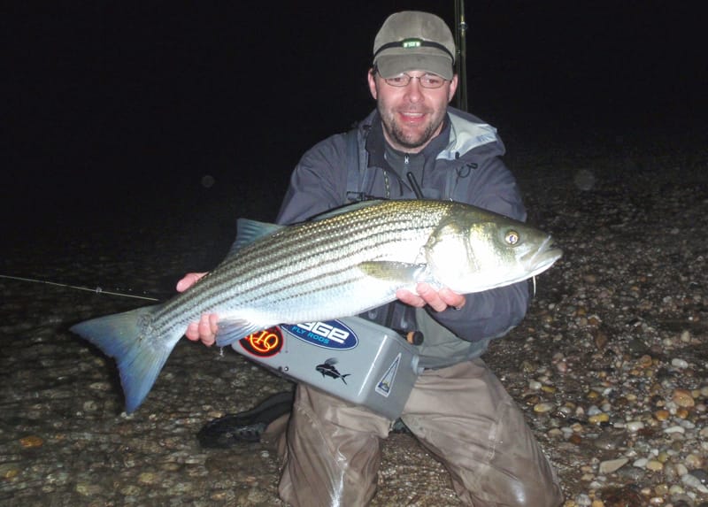 Good Bass
