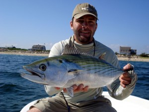 Bonito On The Fly!