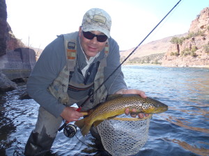 Matt' Nice Brown