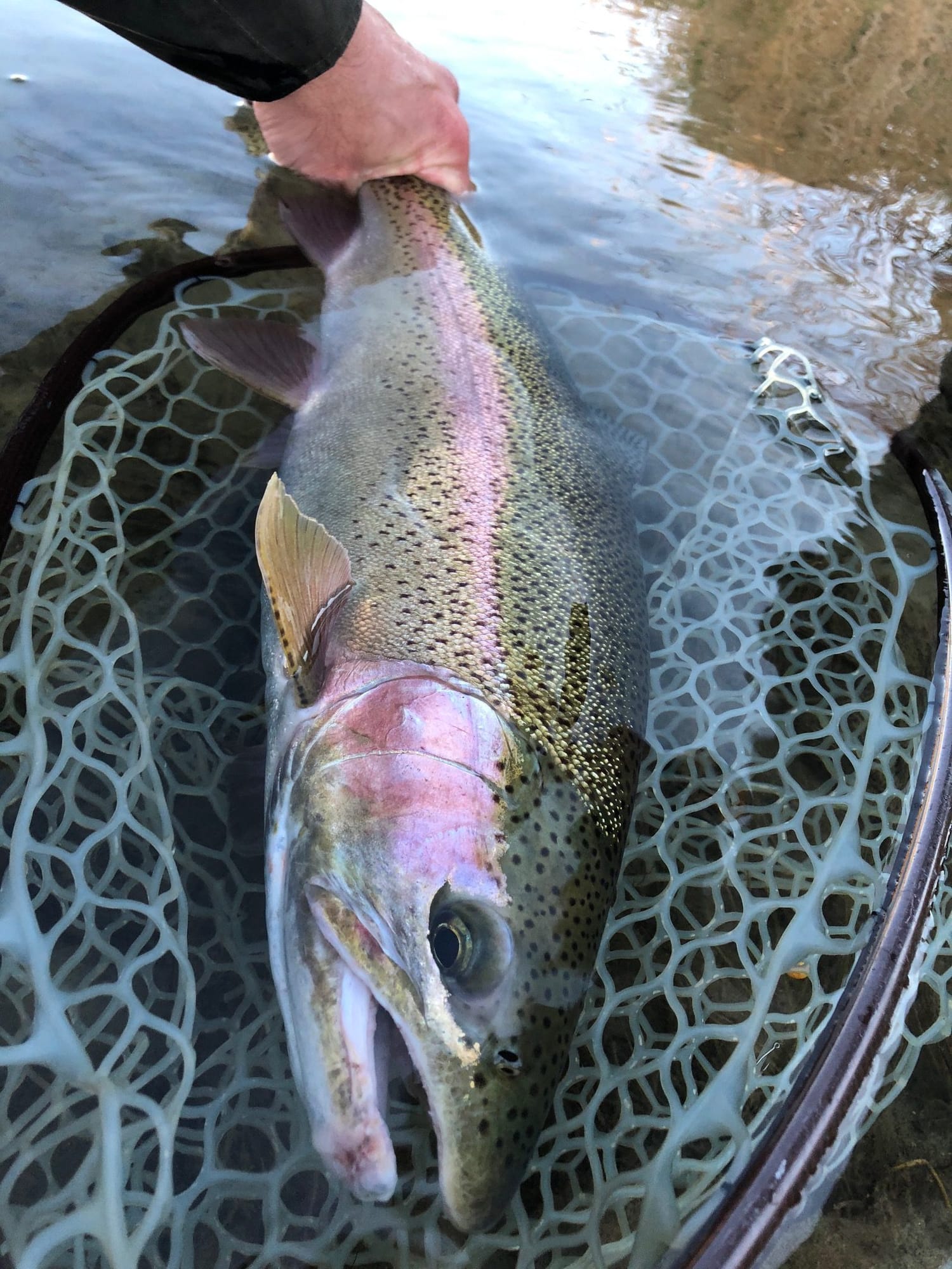 Green Below Fontenelle Friday October 12 & Saturday October 13, 2018