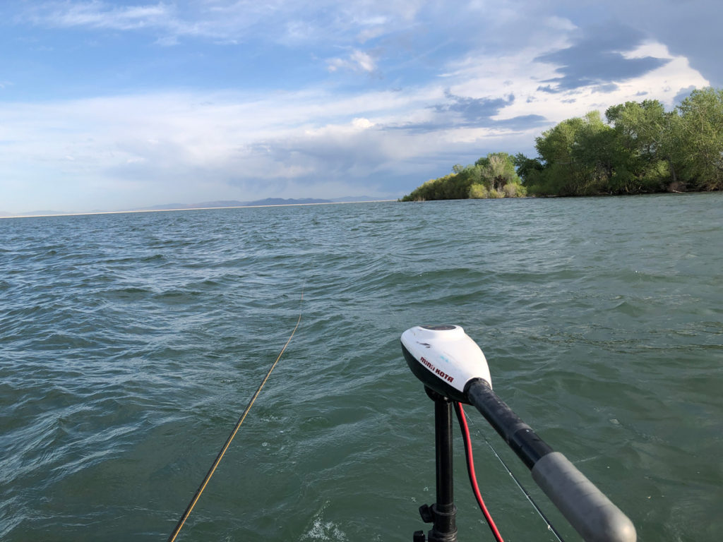 Willard Bay May 11th, 2020