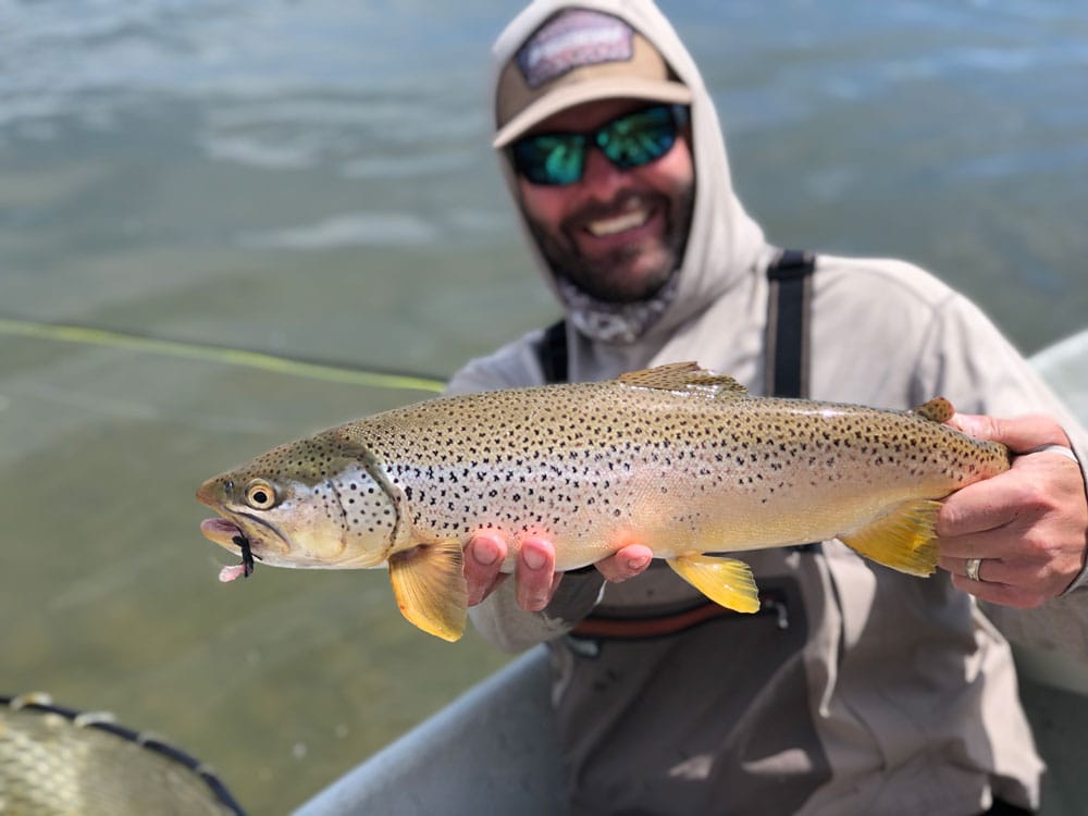 Green Below Fontenelle Friday-Tuesday May 15-18, 2020