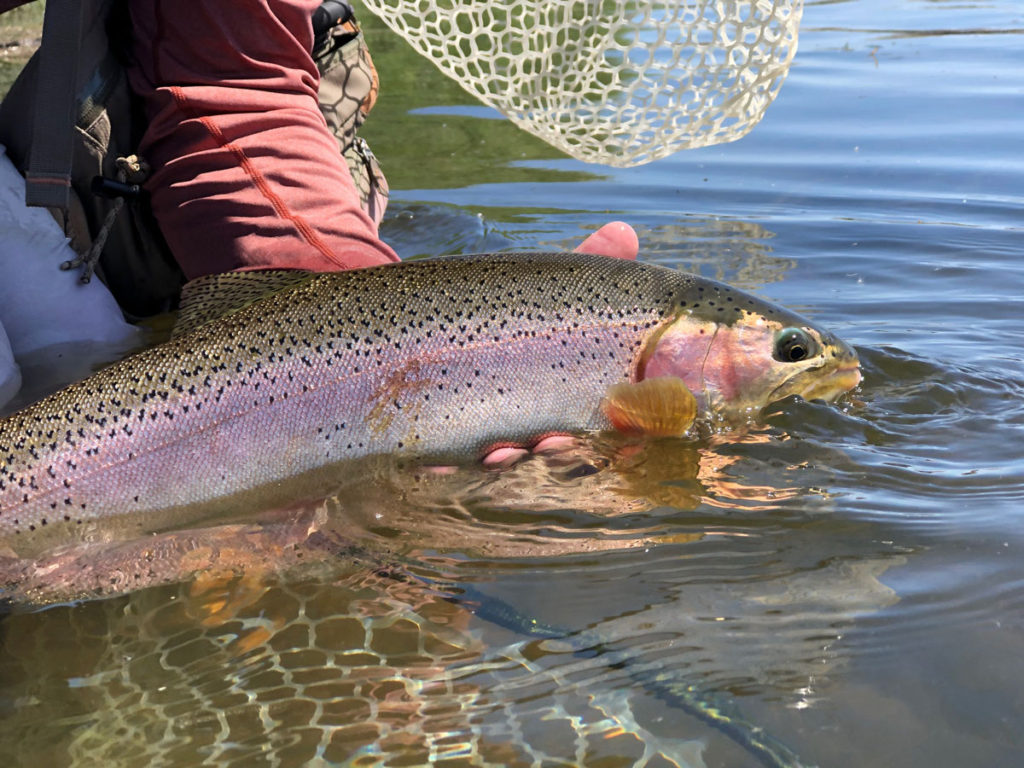 Green Below Fontenelle Sat-Mon July 17-20, 2020