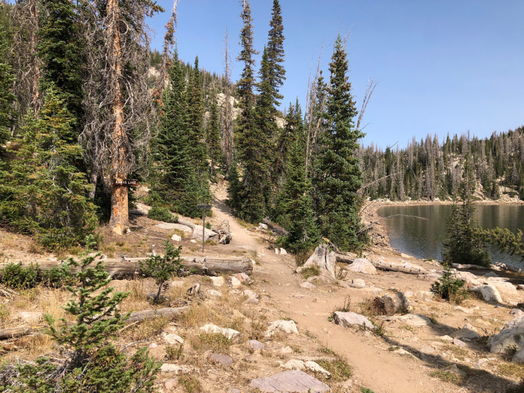Uintas: Lofty Lake Loop & Teal Lake Spur