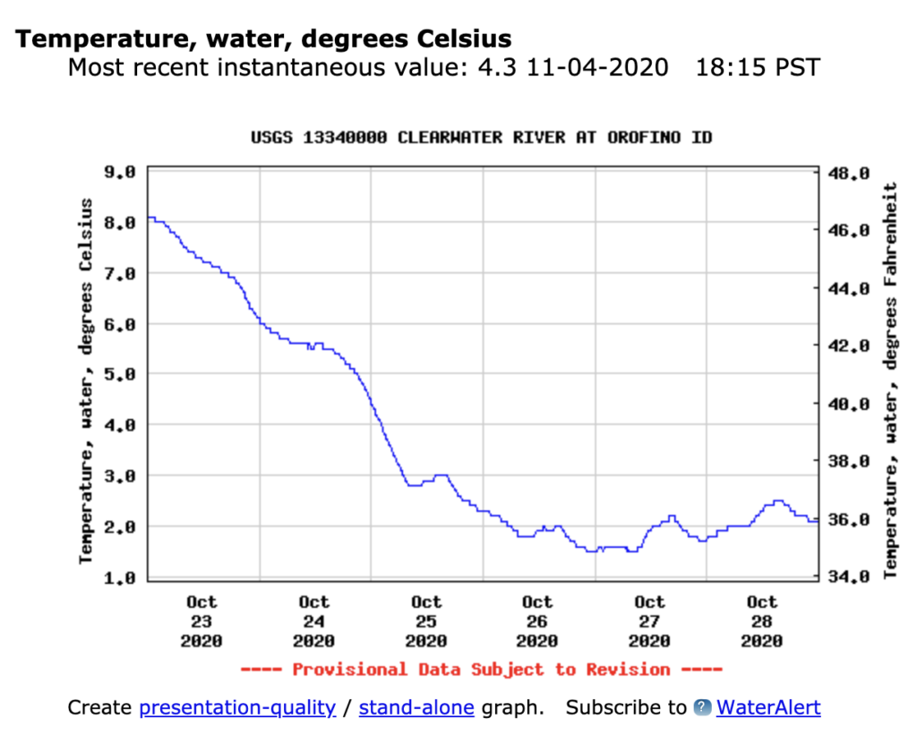 Steelhead: Salmon River & Clearwater River Trip October 20-29, 2020