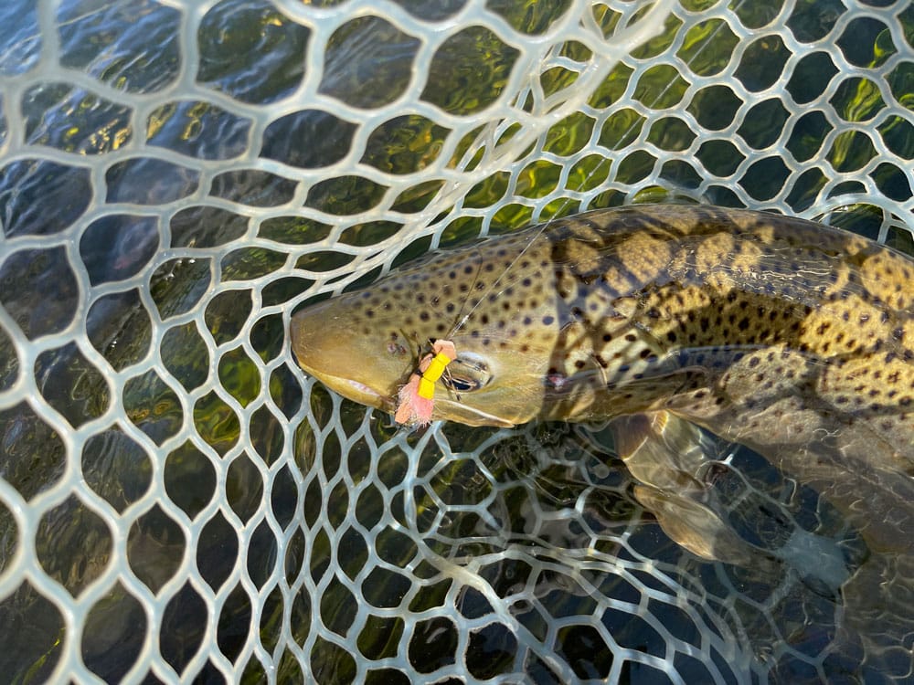 Strawberry River Monday, September 12, 2022