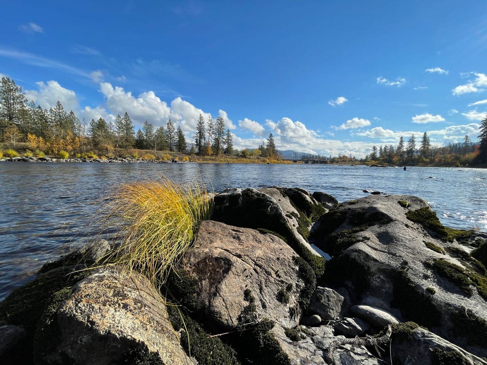Steelhead: Clearwater River & Salmon River November 2-8, 2022